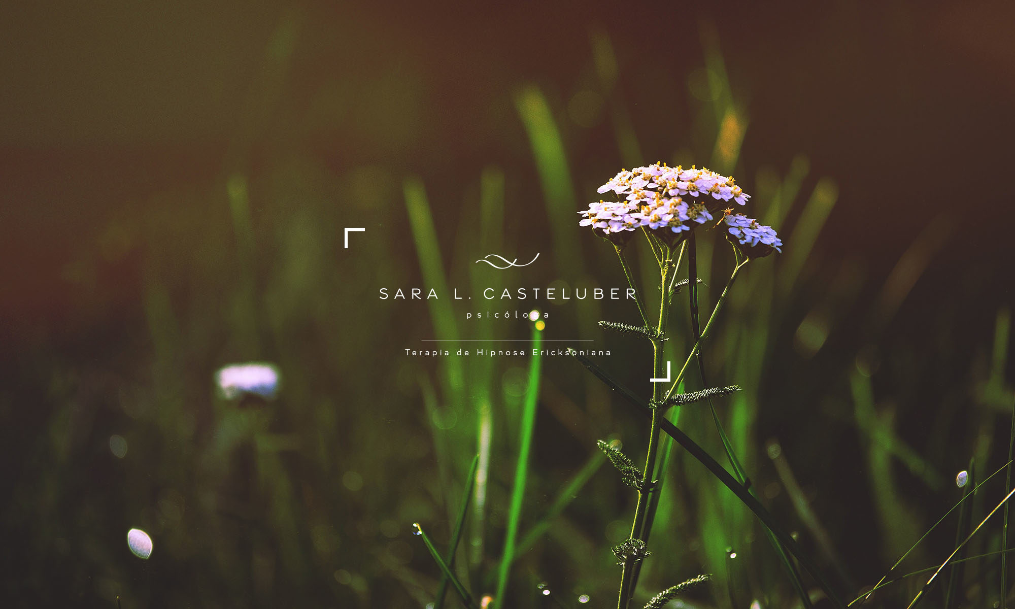 Blog | Sara Casteluber